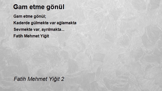 Fatih Mehmet Yiğit 2