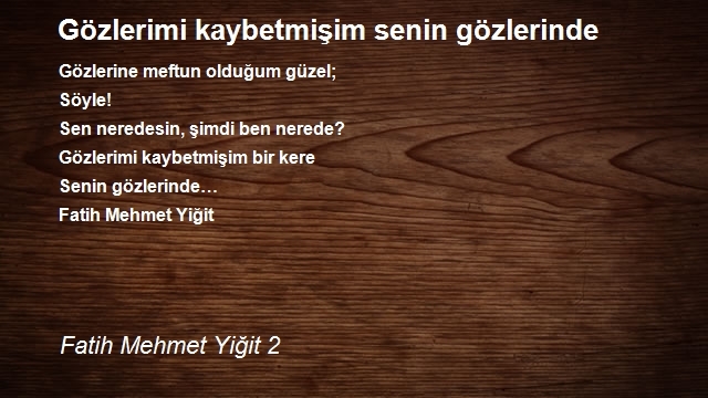 Fatih Mehmet Yiğit 2