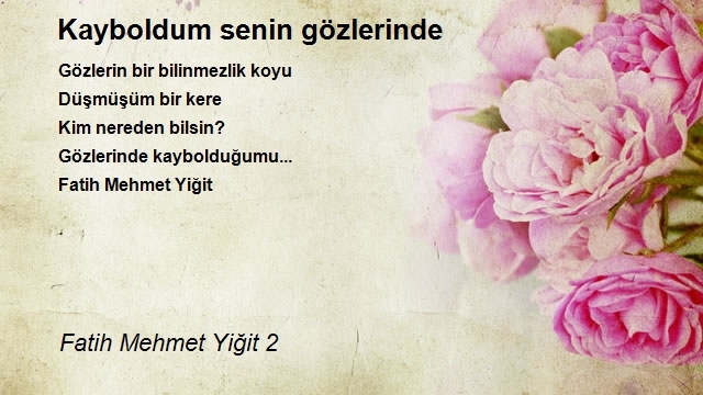 Fatih Mehmet Yiğit 2