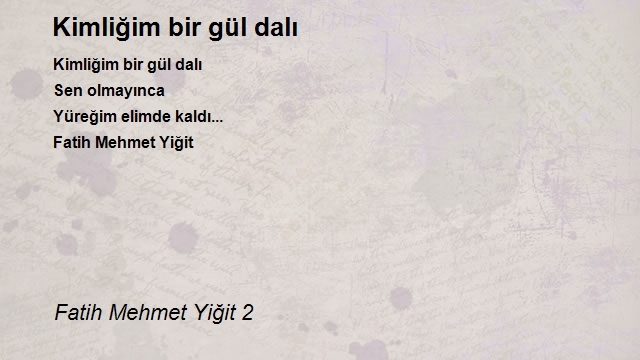 Fatih Mehmet Yiğit 2