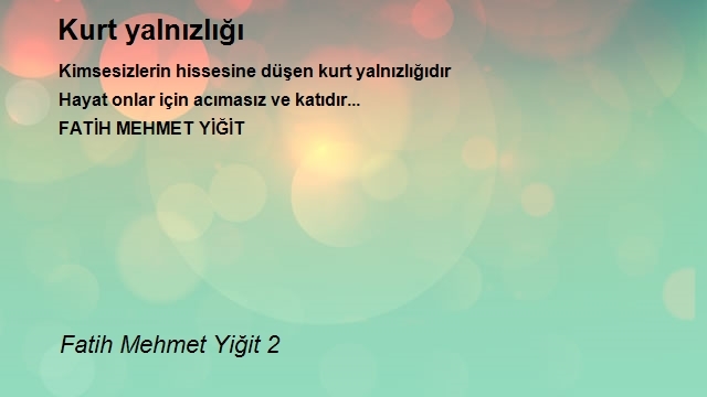 Fatih Mehmet Yiğit 2