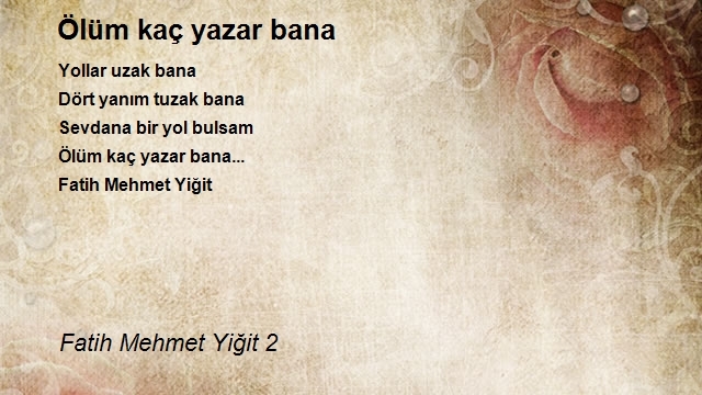 Fatih Mehmet Yiğit 2