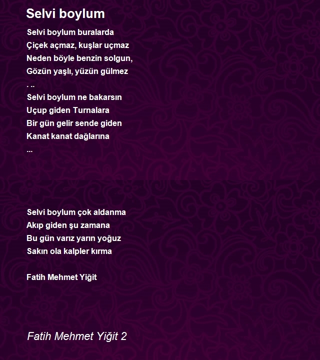 Fatih Mehmet Yiğit 2