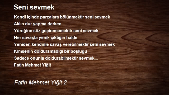 Fatih Mehmet Yiğit 2