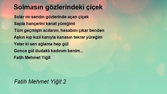 Fatih Mehmet Yiğit 2