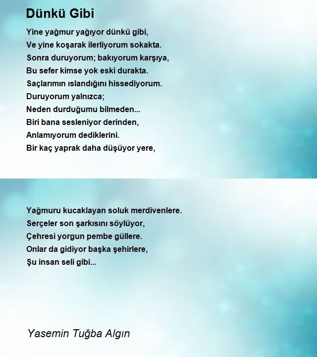 Yasemin Tuğba Algın