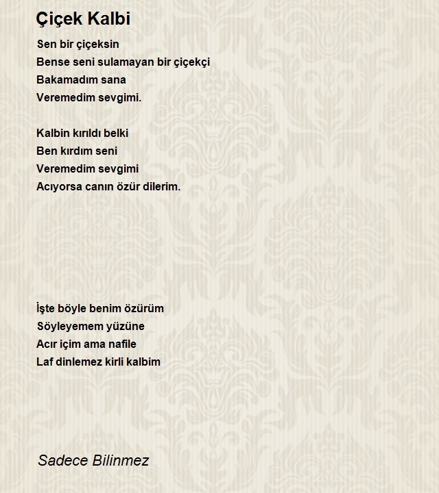 Sadece Bilinmez