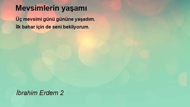 İbrahim Erdem 2