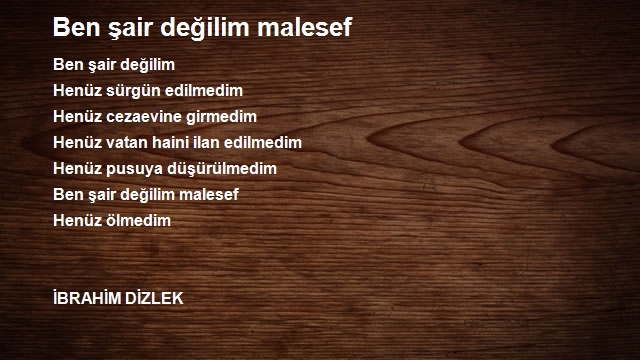 İbrahim Dizlek 2