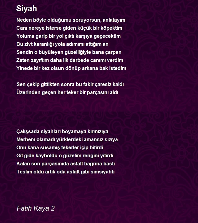 Fatih Kaya 2