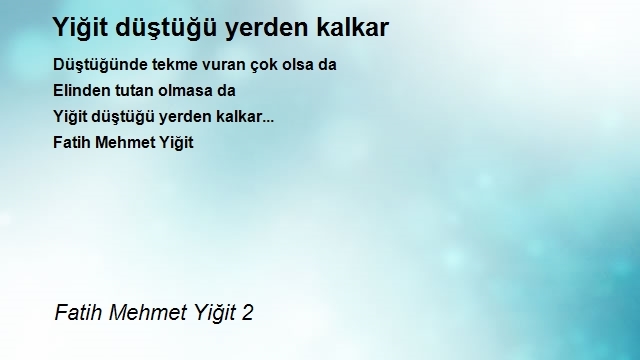 Fatih Mehmet Yiğit 2