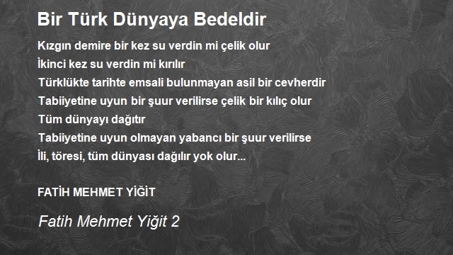 Fatih Mehmet Yiğit 2