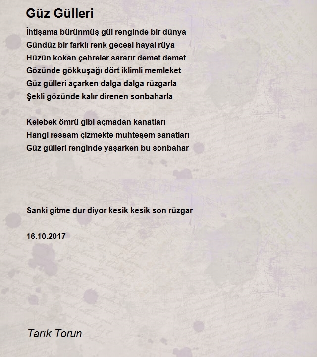 Tarık Torun