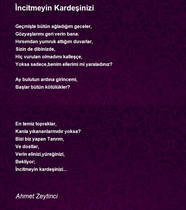 Ahmet Zeytinci