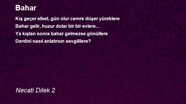 Necati Dilek 2