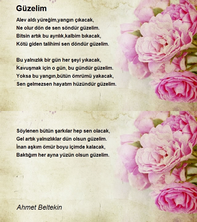 Ahmet Beltekin