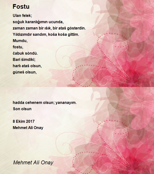 Mehmet Ali Onay