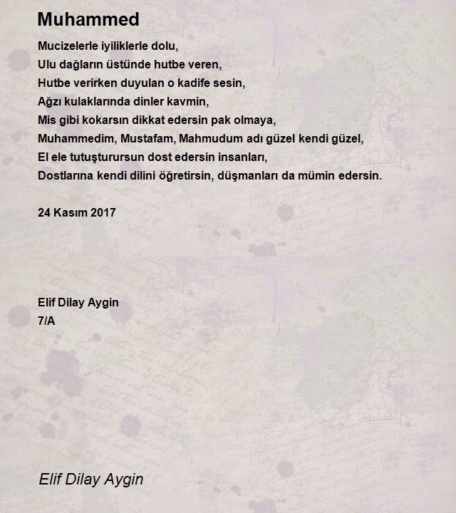 Elif Dilay Aygin