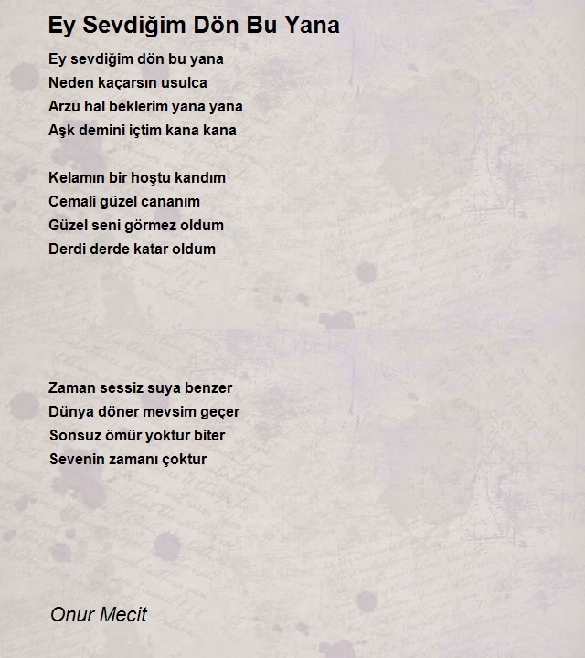 Onur Mecit