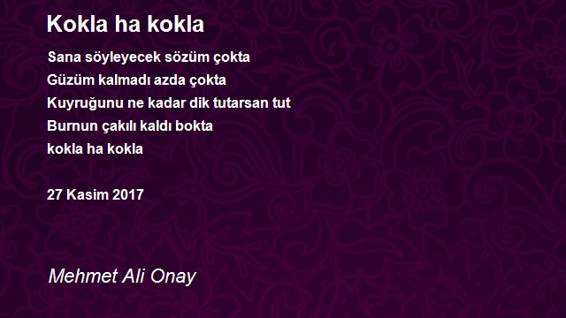 Mehmet Ali Onay