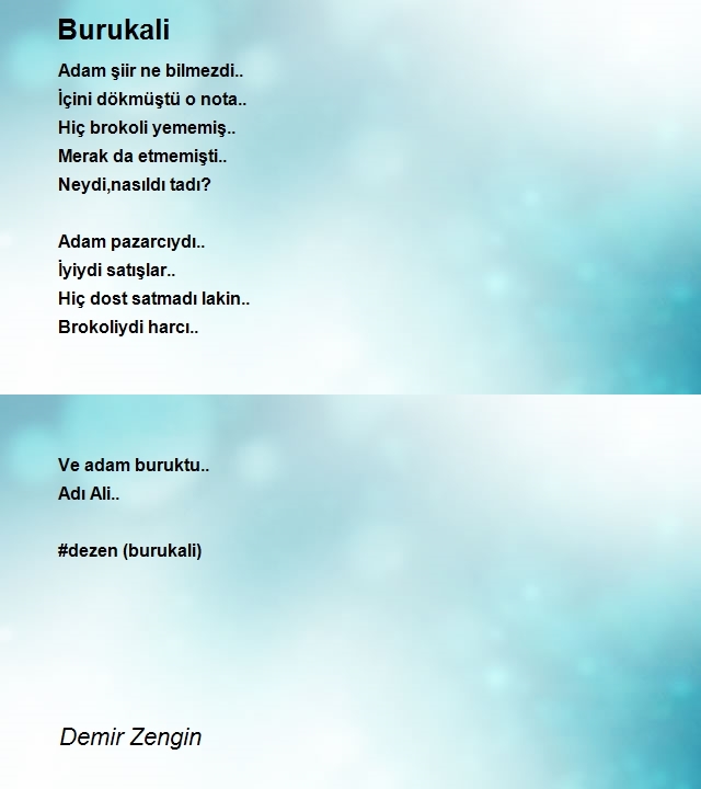 Demir Zengin