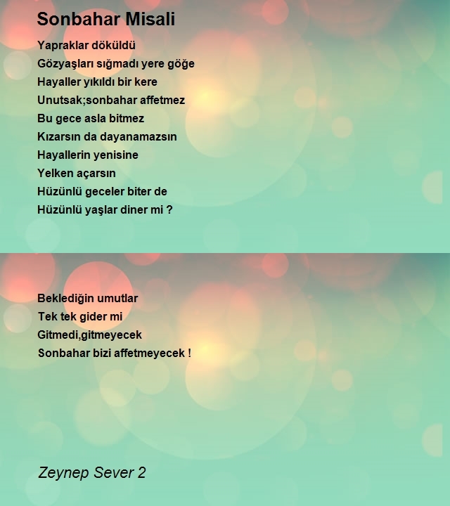 Zeynep Sever 2