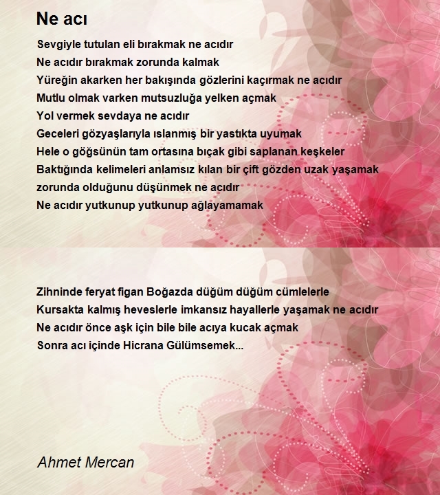 Ahmet Mercan