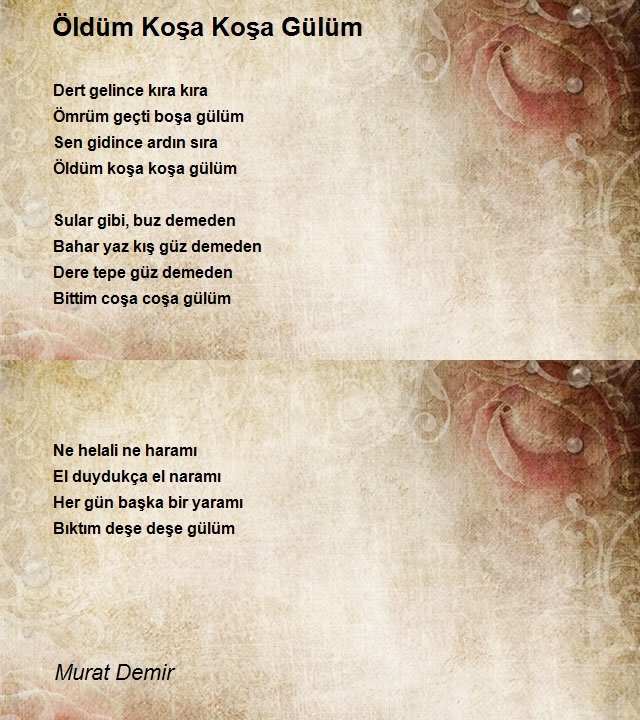 Murat Demir