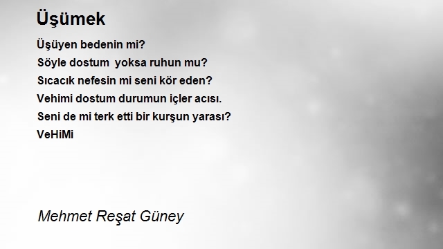 Mehmet Reşat Güney