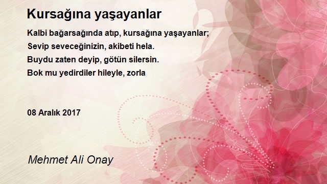 Mehmet Ali Onay