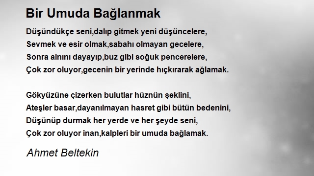 Ahmet Beltekin