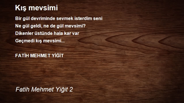 Fatih Mehmet Yiğit 2