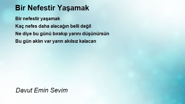 Davut Emin Sevim