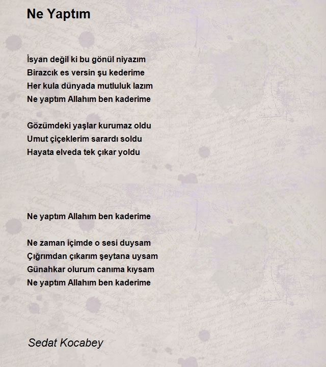 Sedat Kocabey