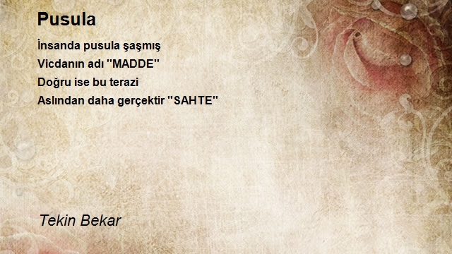 Tekin Bekar