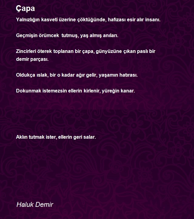 Haluk Demir