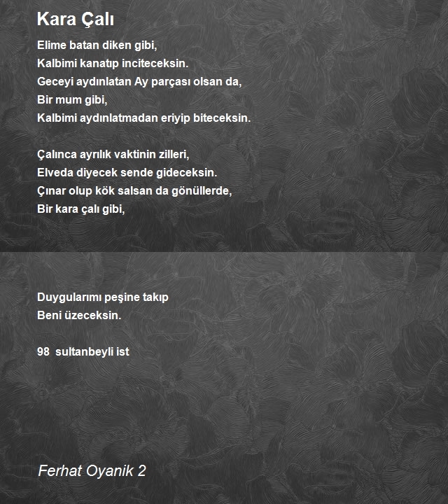 Ferhat Oyanik 2