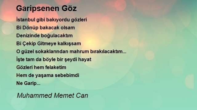 Muhammed Memet Can