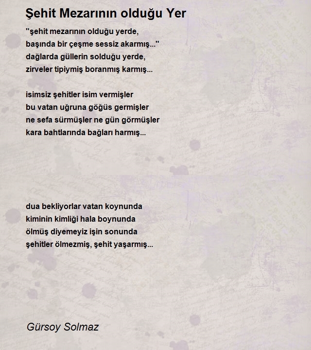 Gürsoy Solmaz