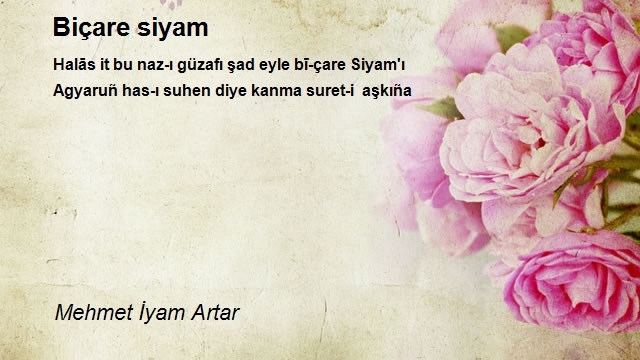 Mehmet İyam Artar