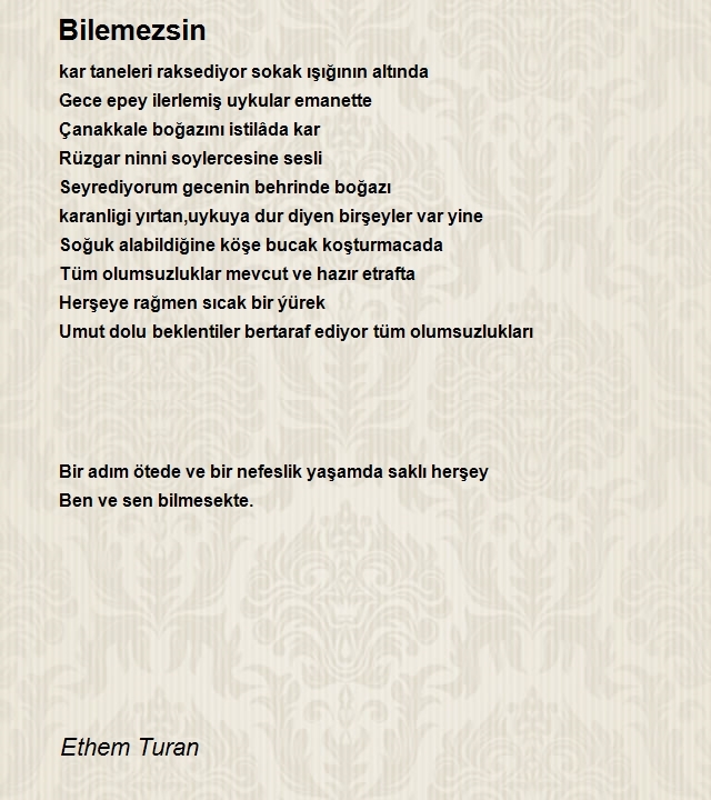 Ethem Turan