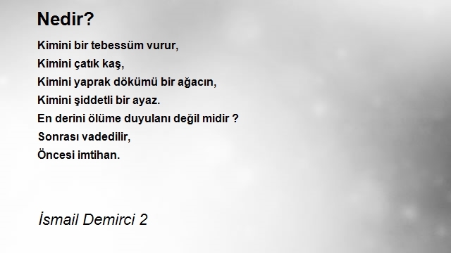 İsmail Demirci 2