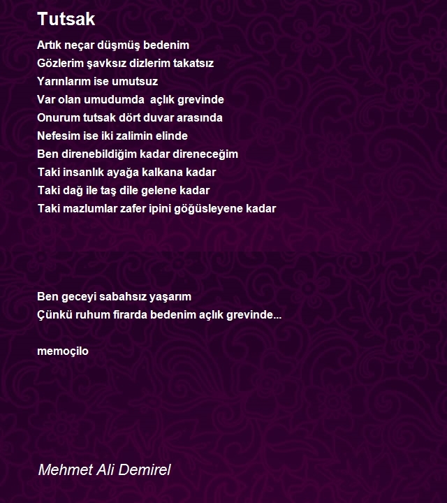 Mehmet Ali Demirel