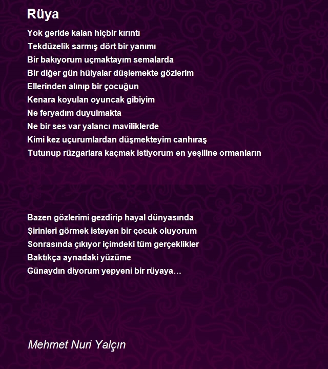 Mehmet Nuri Yalçın