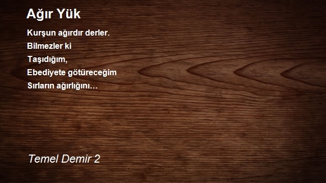 Temel Demir 2