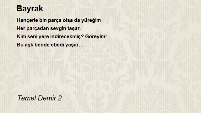 Temel Demir 2