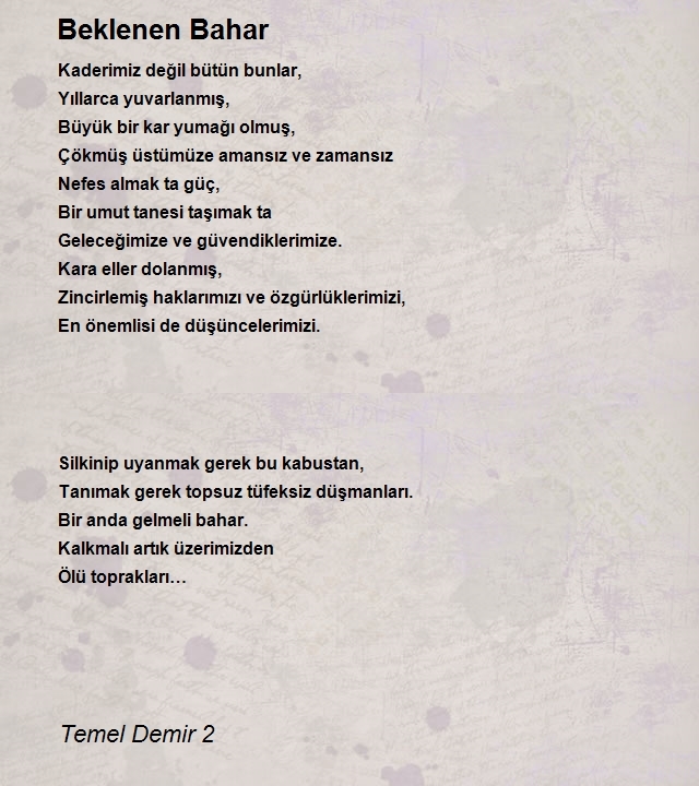 Temel Demir 2