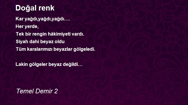 Temel Demir 2