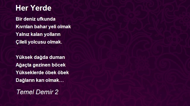 Temel Demir 2