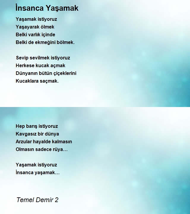 Temel Demir 2